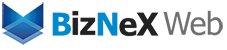 BizNex Web Logo